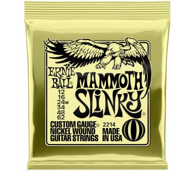 ERNIE BALL 2214 12-62