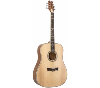 PEAVEY DW 2